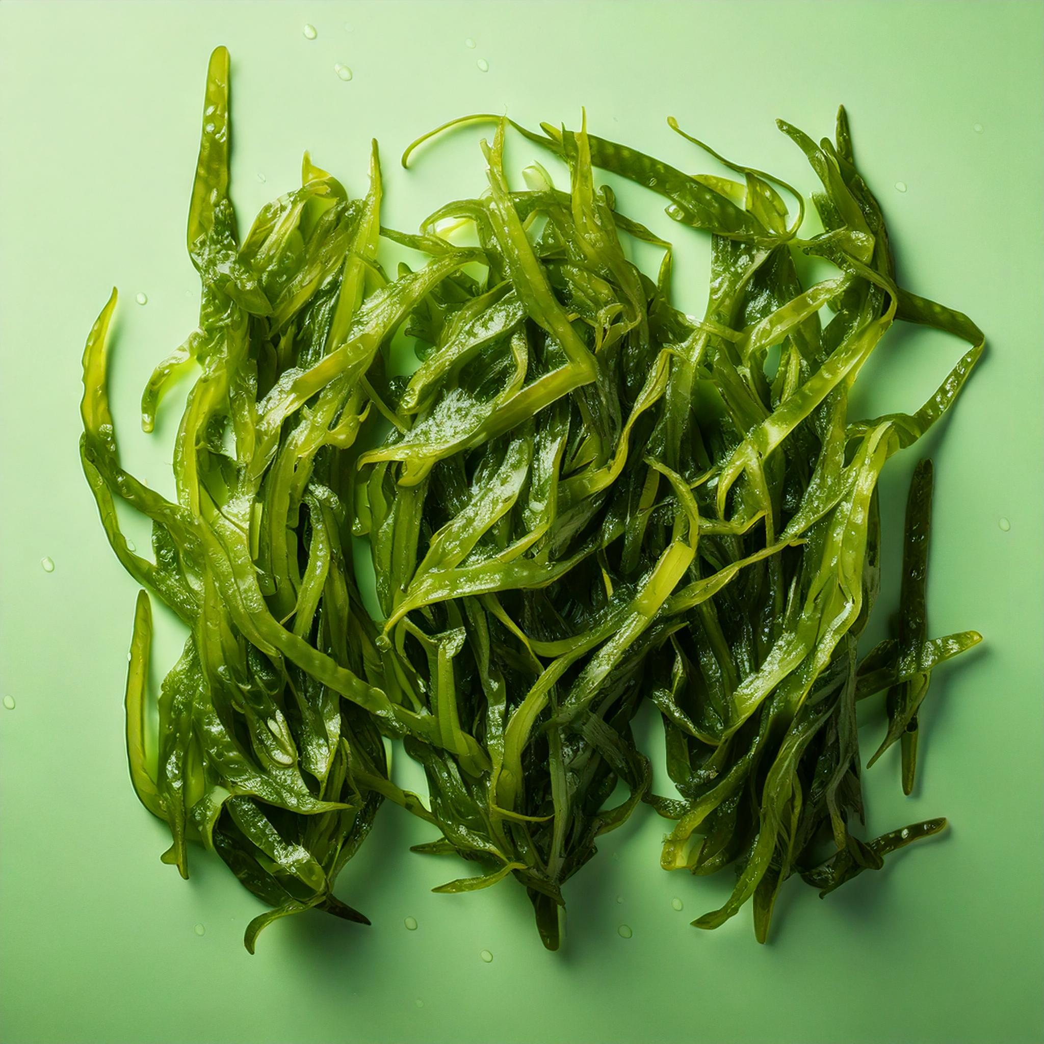 algue wakame